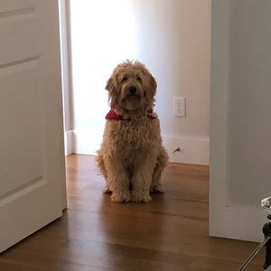 Meet your Posher, Michele